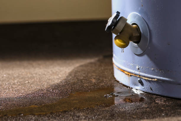 Best Flooded house restoration  in Spring Creek, NV