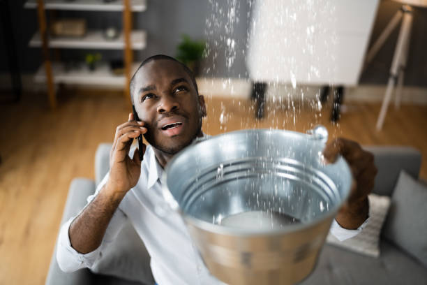Best Emergency water damage restoration  in Spring Creek, NV