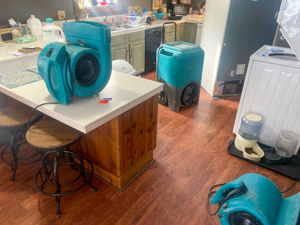 24/7 water damage repair in NV