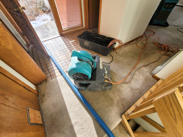 Best Commercial water damage restoration  in Spring Creek, NV