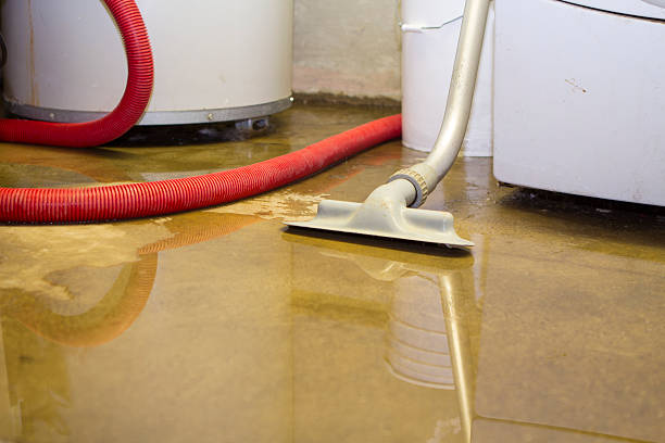 Best Water damage restoration services  in Spring Creek, NV