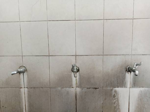 Best Sewage cleanup and water damage restoration  in Spring Creek, NV