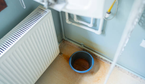 Best Water damage restoration near me  in Spring Creek, NV
