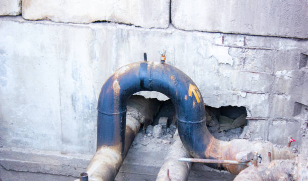 Best Professional water damage repair  in Spring Creek, NV