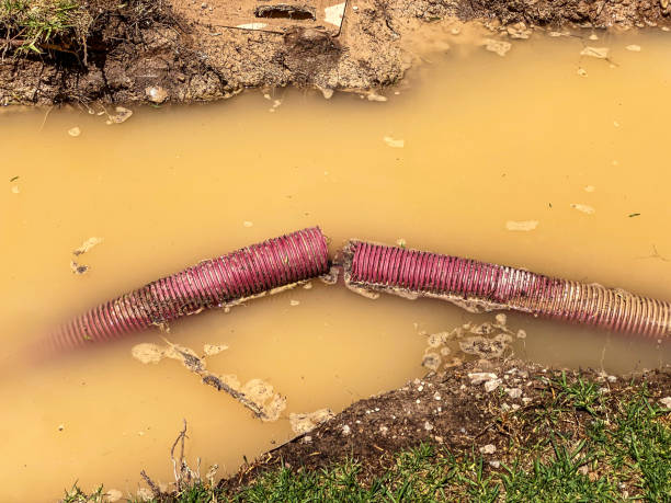 Best Flood damage cleanup  in Spring Creek, NV