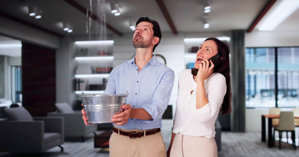 Best Water damage cleanup near me  in Spring Creek, NV