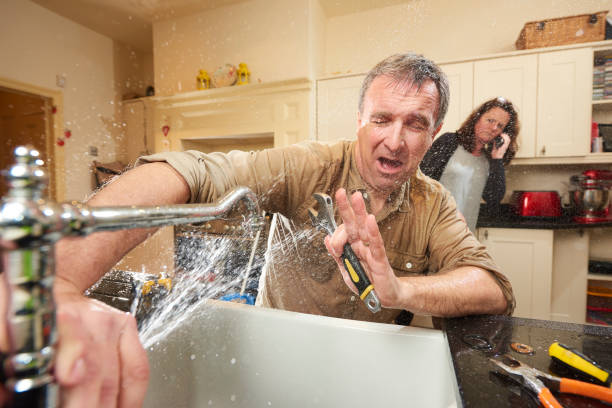 Best Water damage restoration company  in Spring Creek, NV